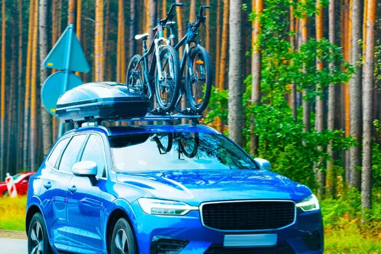 Voiture équipée d’un porte-vélos de toit transportant deux VTT en forêt
